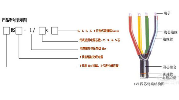 未標題-1